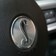 Illustration for article titled 2010 Shelby GT500